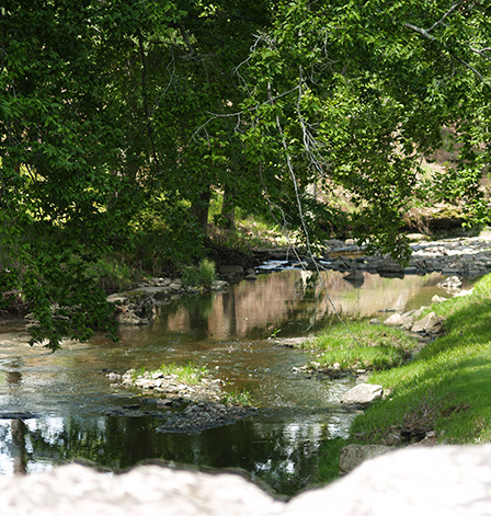 Beargrass Creek small